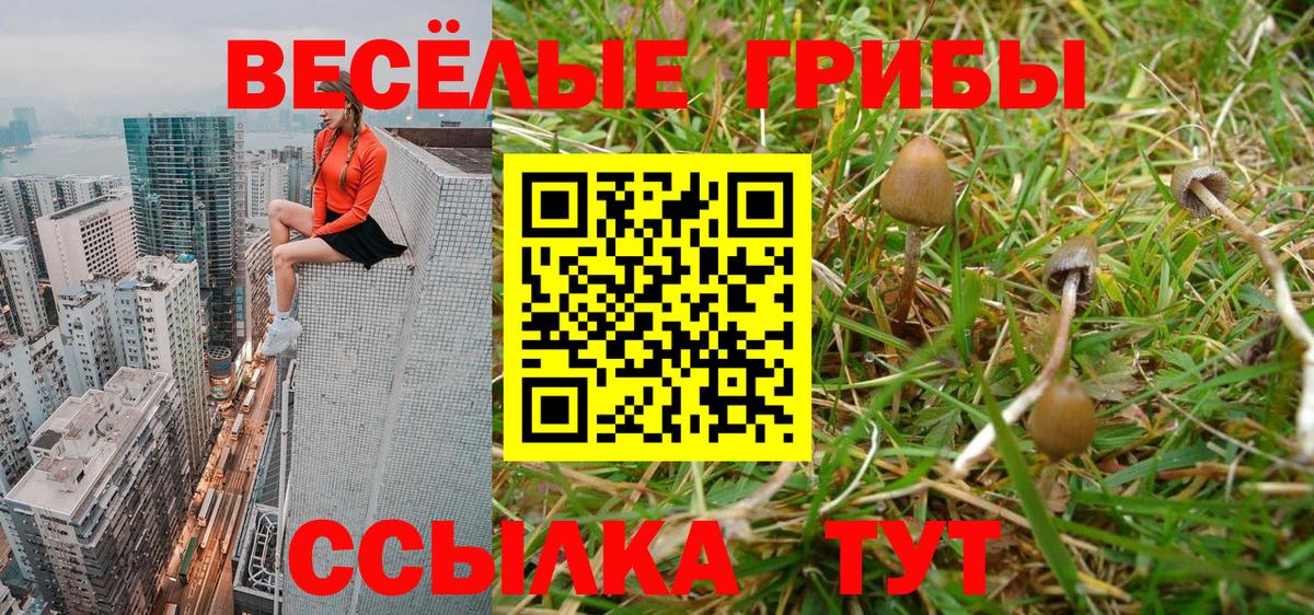 Псилоцибиновые грибы ЛСД  Галлюциногенные грибы Psilocybe  Вход с VPN  Новошахтинск 